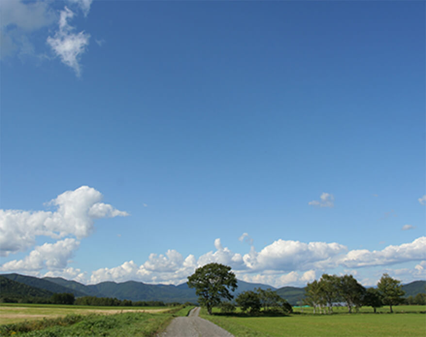 風景の写真